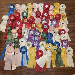 Vintage Horse Show Ribbons Rosettes ~ Various 1980’s ~ Lot Of 63